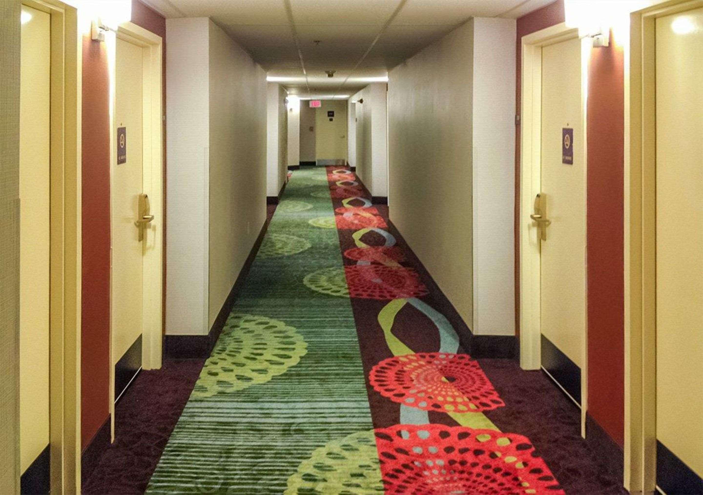 Comfort Inn North Of Asheville Mars Hill Экстерьер фото